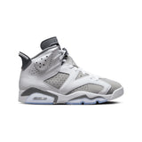 Air Jordan 6 Retro 'Cool Grey' CT8529-100