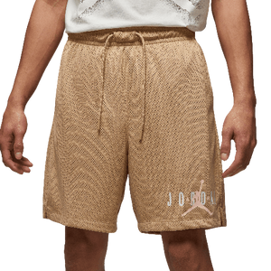 Jordan Essentials Mesh Shorts DV7652-254